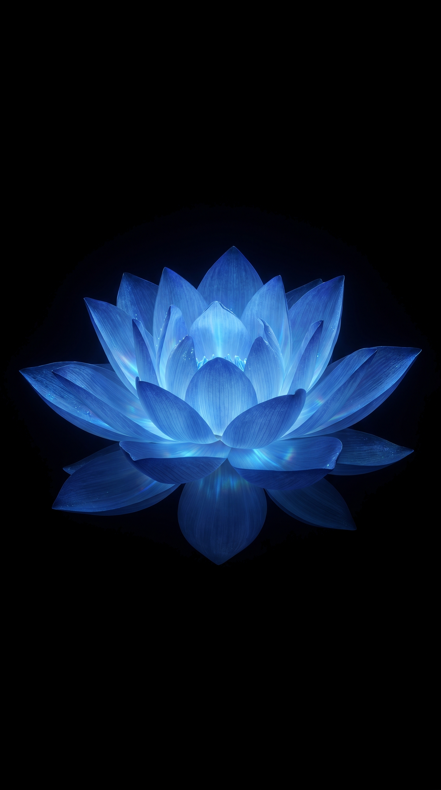 Blue Lotus Flower In Darkness